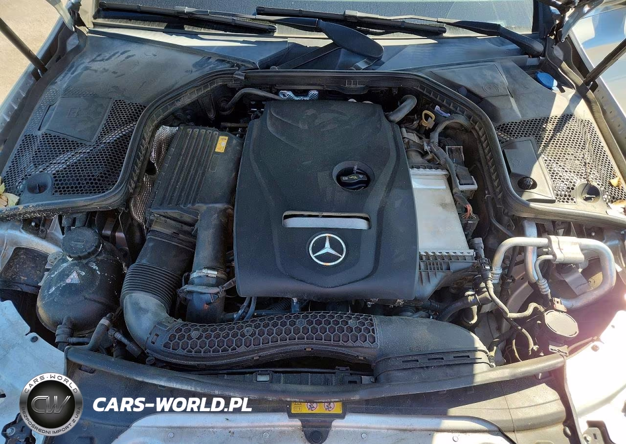 2018 Mercedes-Benz C 300 VIN:55SWF4JBXJU234762 - 11