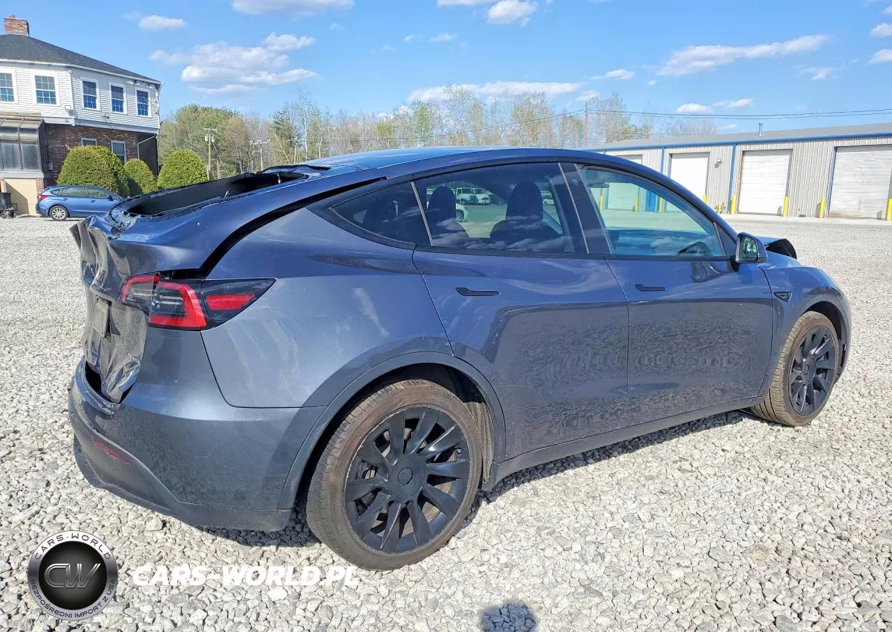 2023 Tesla Model Y VIN:7SAYGDEE9PF757326 - 3