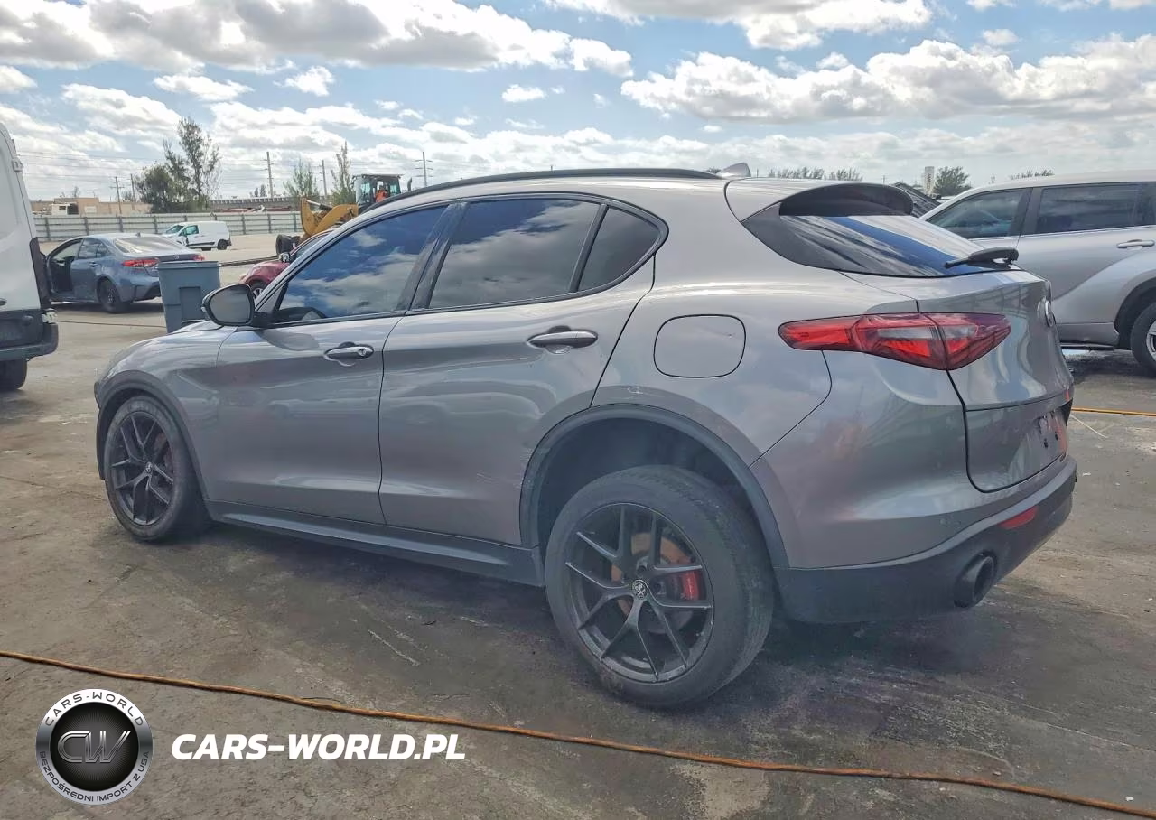2020 Alfa Romeo Stelvio VIN:ZASPAJAN6L7C75483 - 2