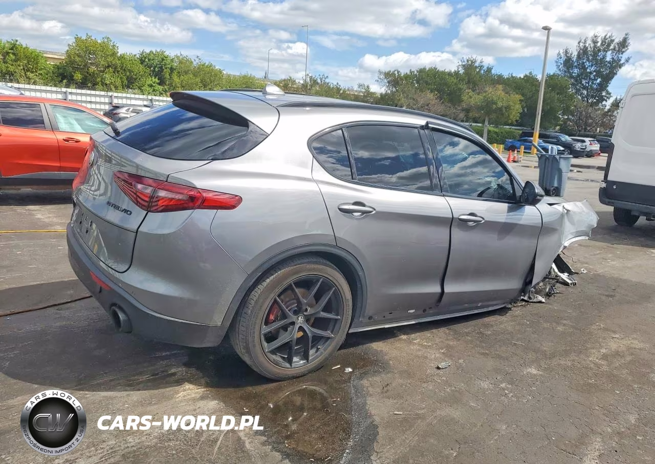 2020 Alfa Romeo Stelvio VIN:ZASPAJAN6L7C75483 - 3