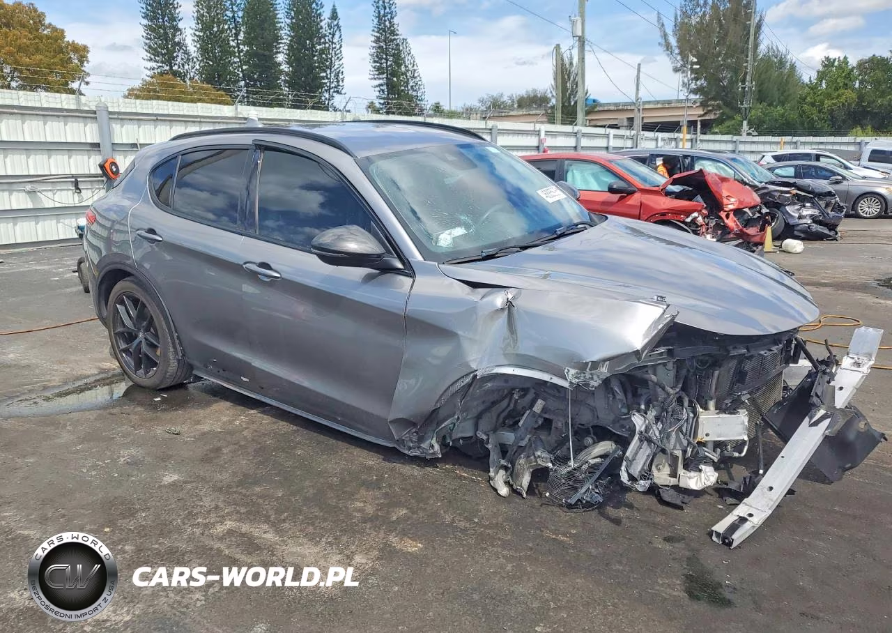 2020 Alfa Romeo Stelvio VIN:ZASPAJAN6L7C75483 - 4
