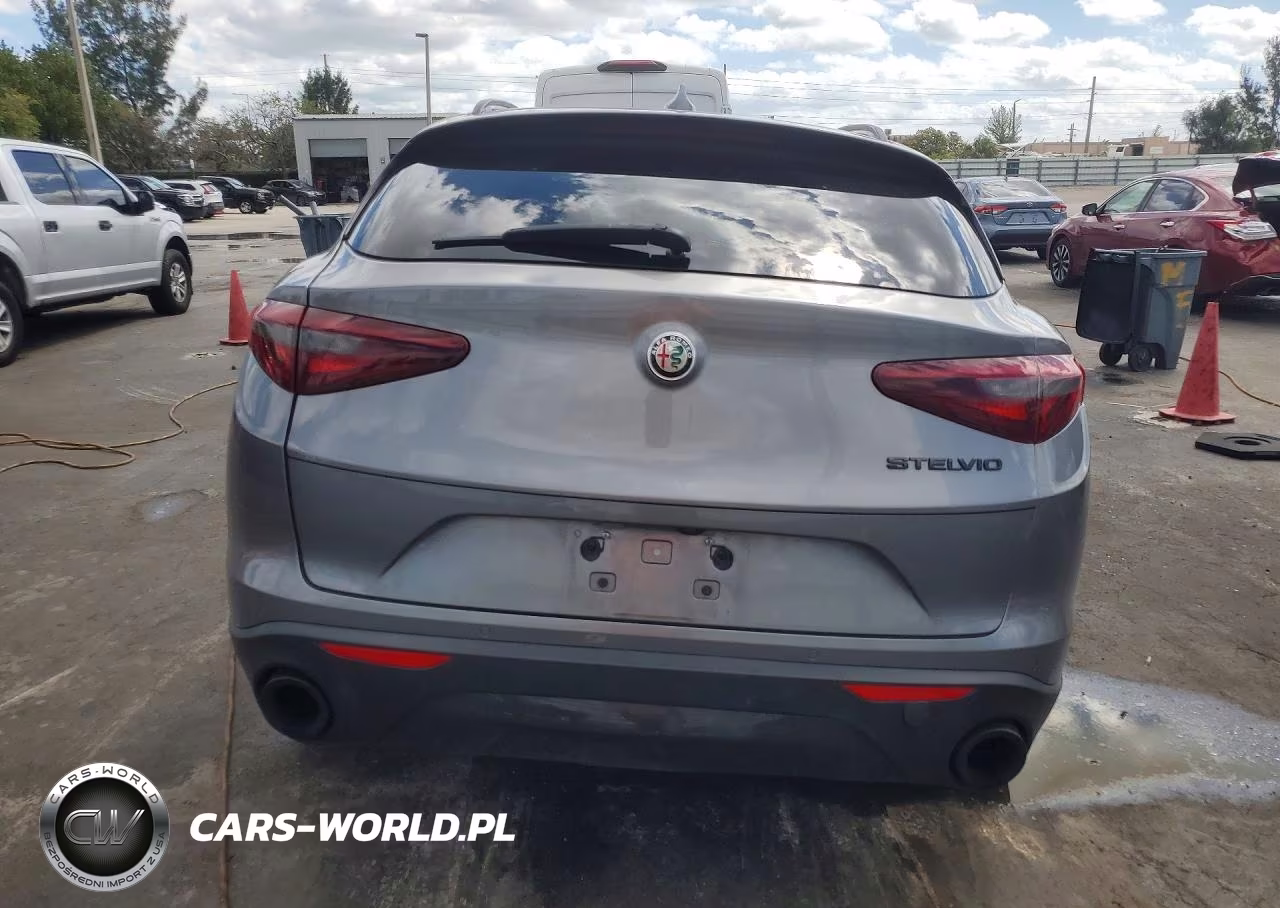 2020 Alfa Romeo Stelvio VIN:ZASPAJAN6L7C75483 - 6