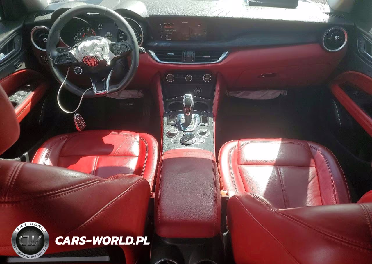 2020 Alfa Romeo Stelvio VIN:ZASPAJAN6L7C75483 - 8