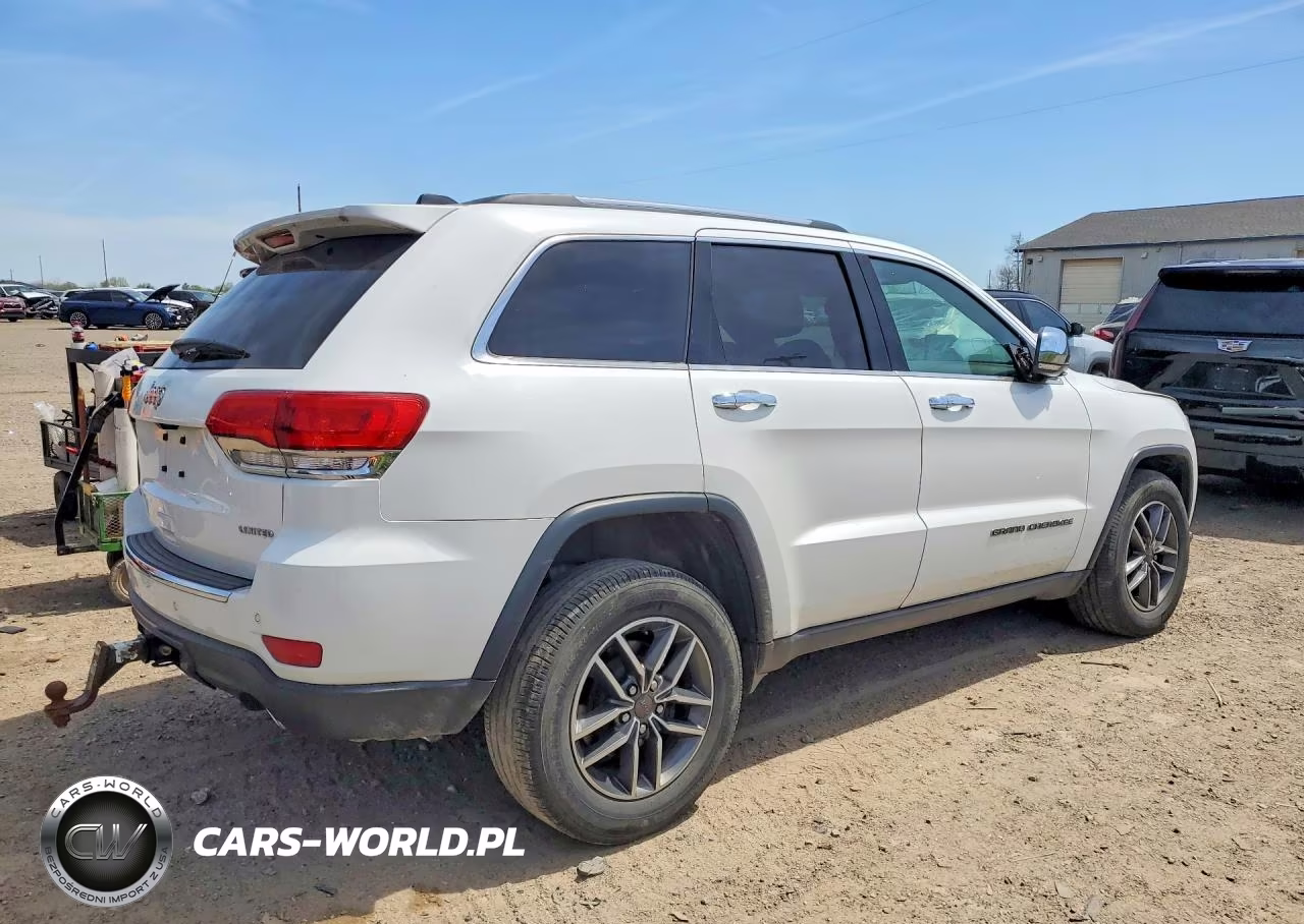 2019 Jeep Grand Cherokee Limited VIN:1C4RJFBG3KC813416 - 3