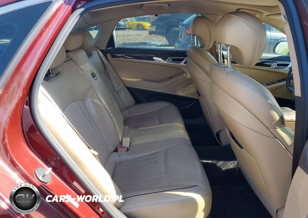 2016 Hyundai Genesis 3.8L VIN:KMHGN4JE9GU128401 - 10
