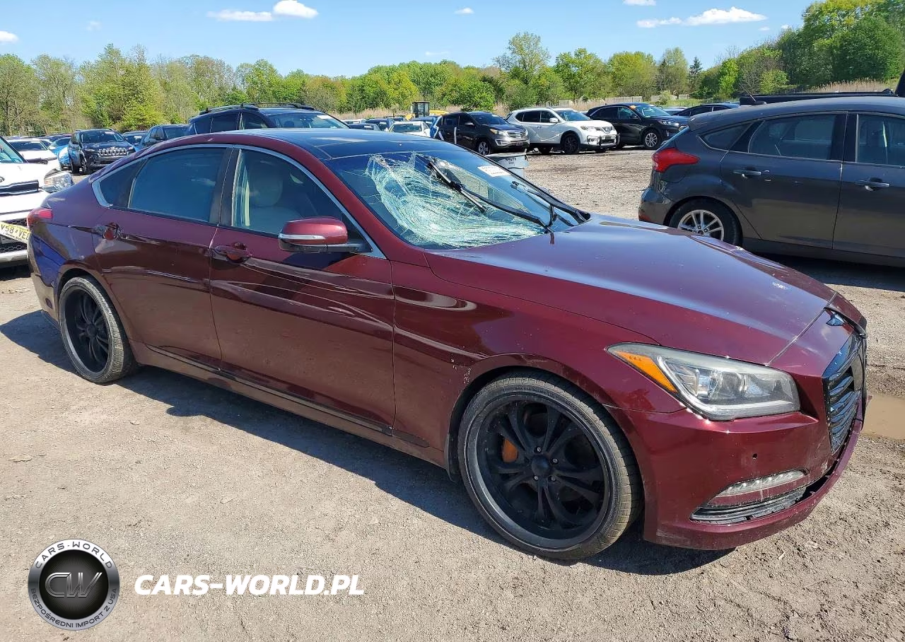 2016 Hyundai Genesis 3.8L VIN:KMHGN4JE9GU128401 - 4