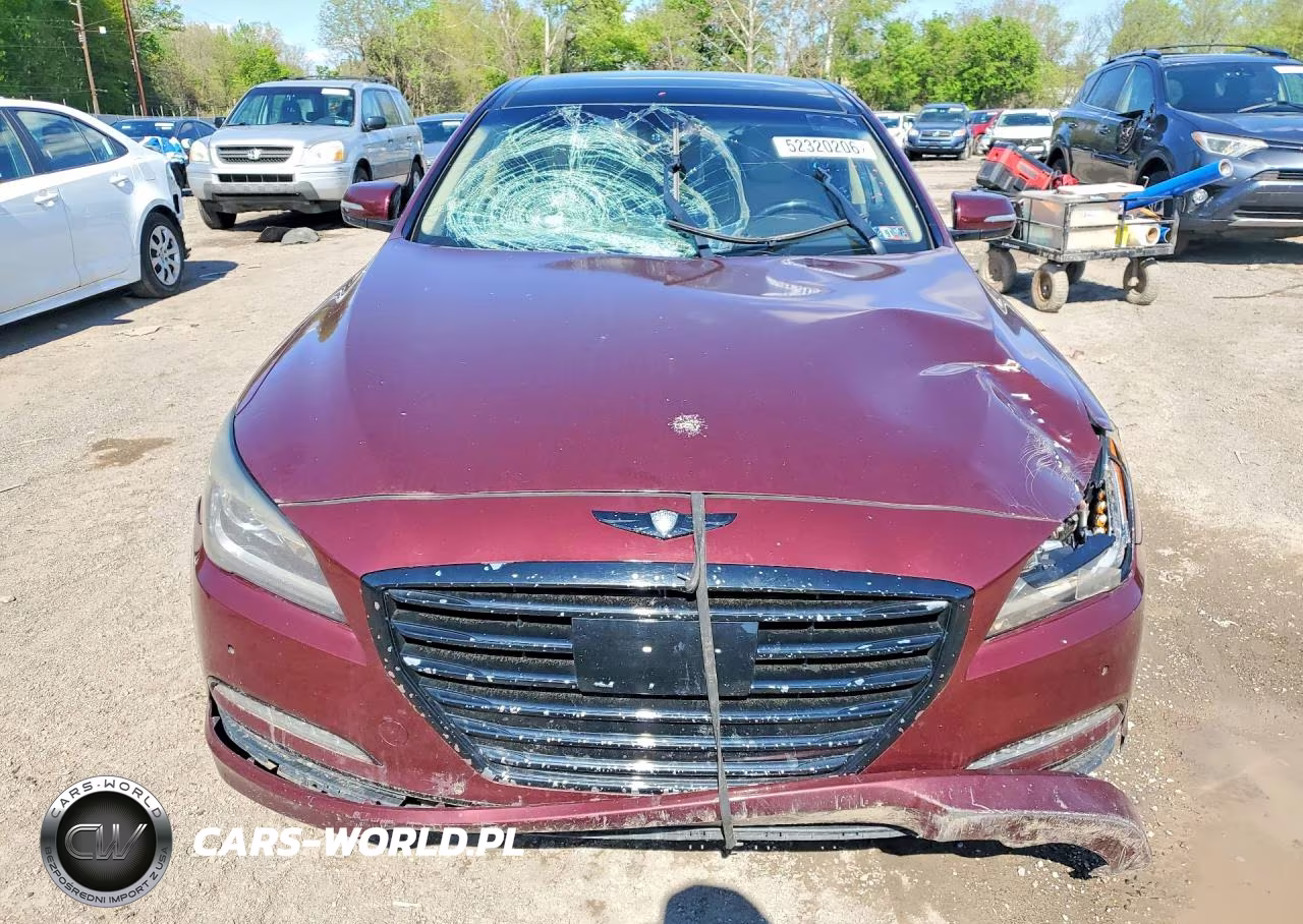 2016 Hyundai Genesis 3.8L VIN:KMHGN4JE9GU128401 - 5