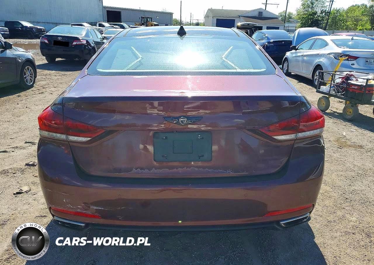 2016 Hyundai Genesis 3.8L VIN:KMHGN4JE9GU128401 - 6