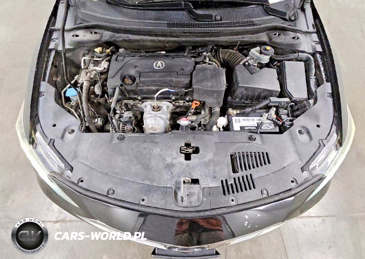 2019 Acura Ilx Premium VIN:19UDE2F7XKA010875 - 11