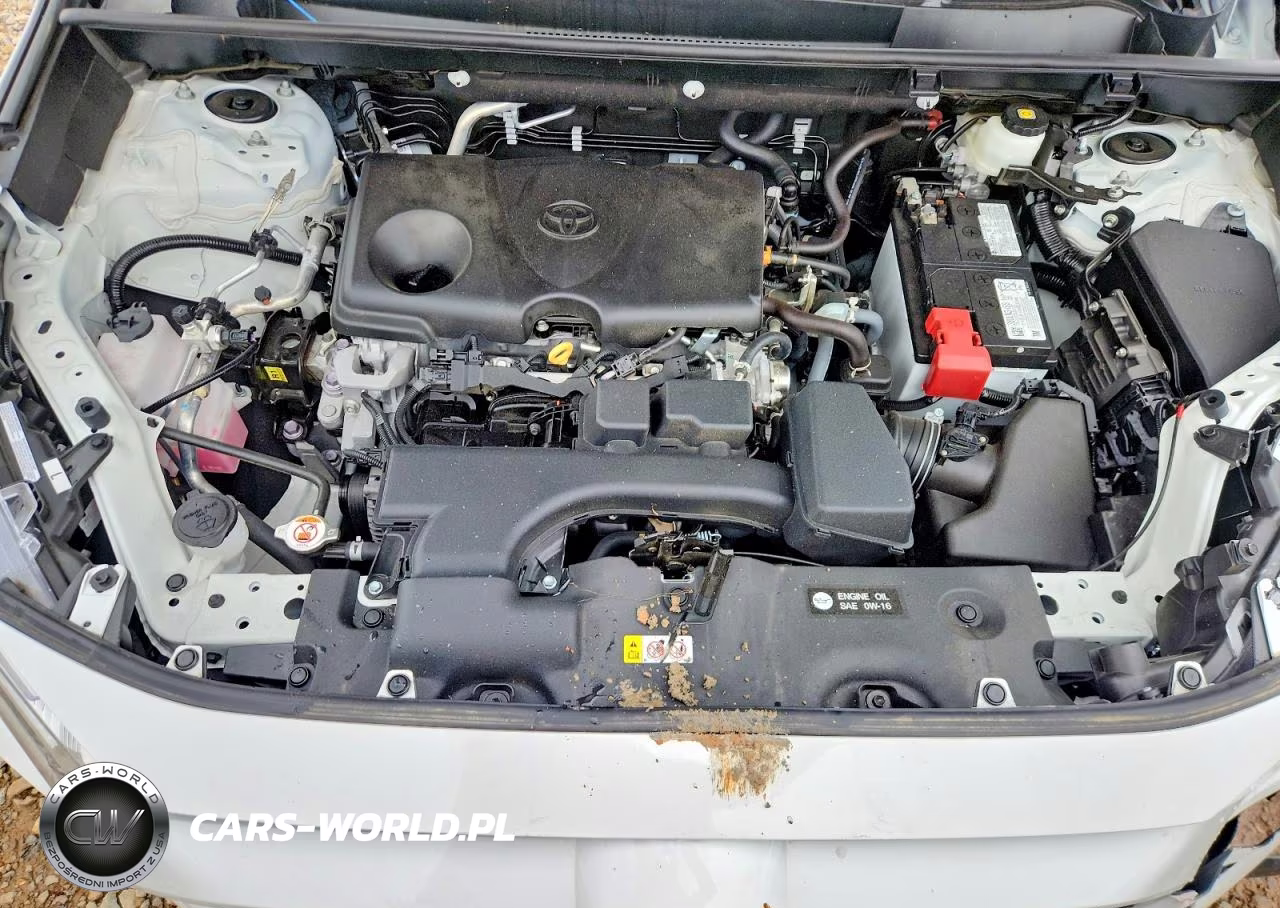 2024 Toyota Rav4 Xle VIN:2T3W1RFV5RC269796 - 12