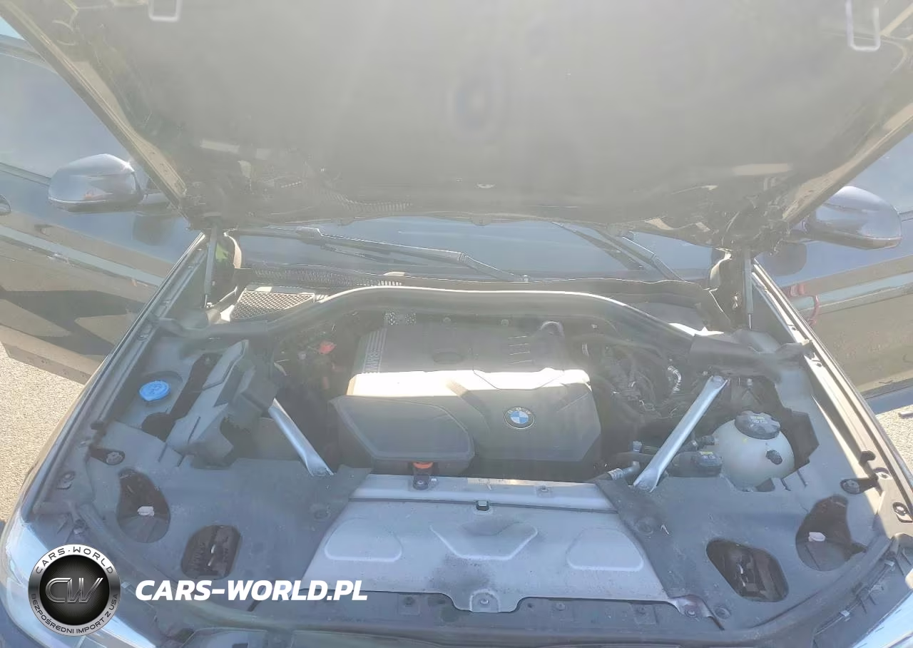 2021 BMW X4 xDrive30I VIN:5UX2V1C01M9F91101 - 12