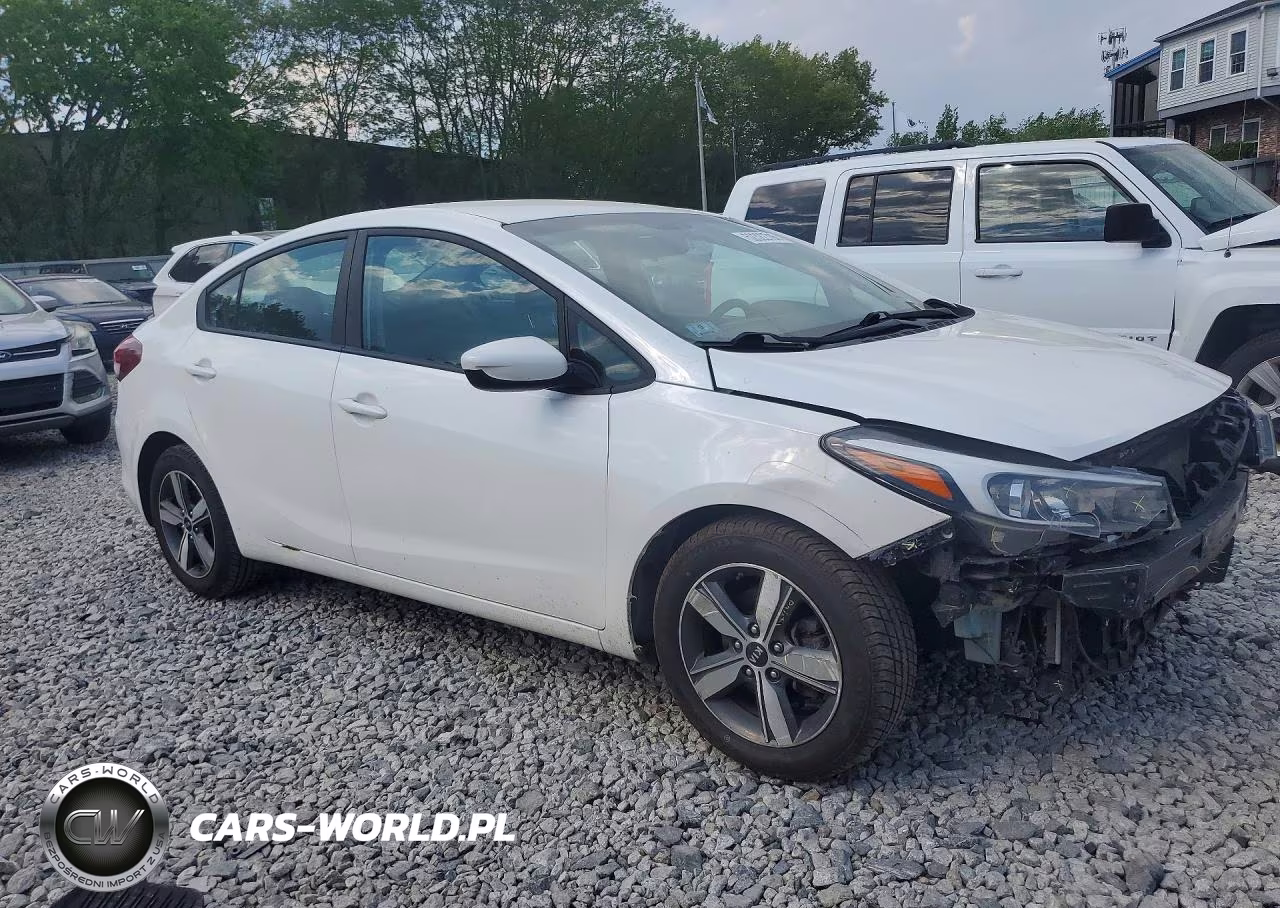 2018 Kia Forte Lx VIN:3KPFL4A7XJE176535 - 4