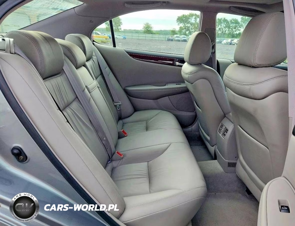 2004 Lexus Es 330 VIN:JTHBA30G945001613 - 10
