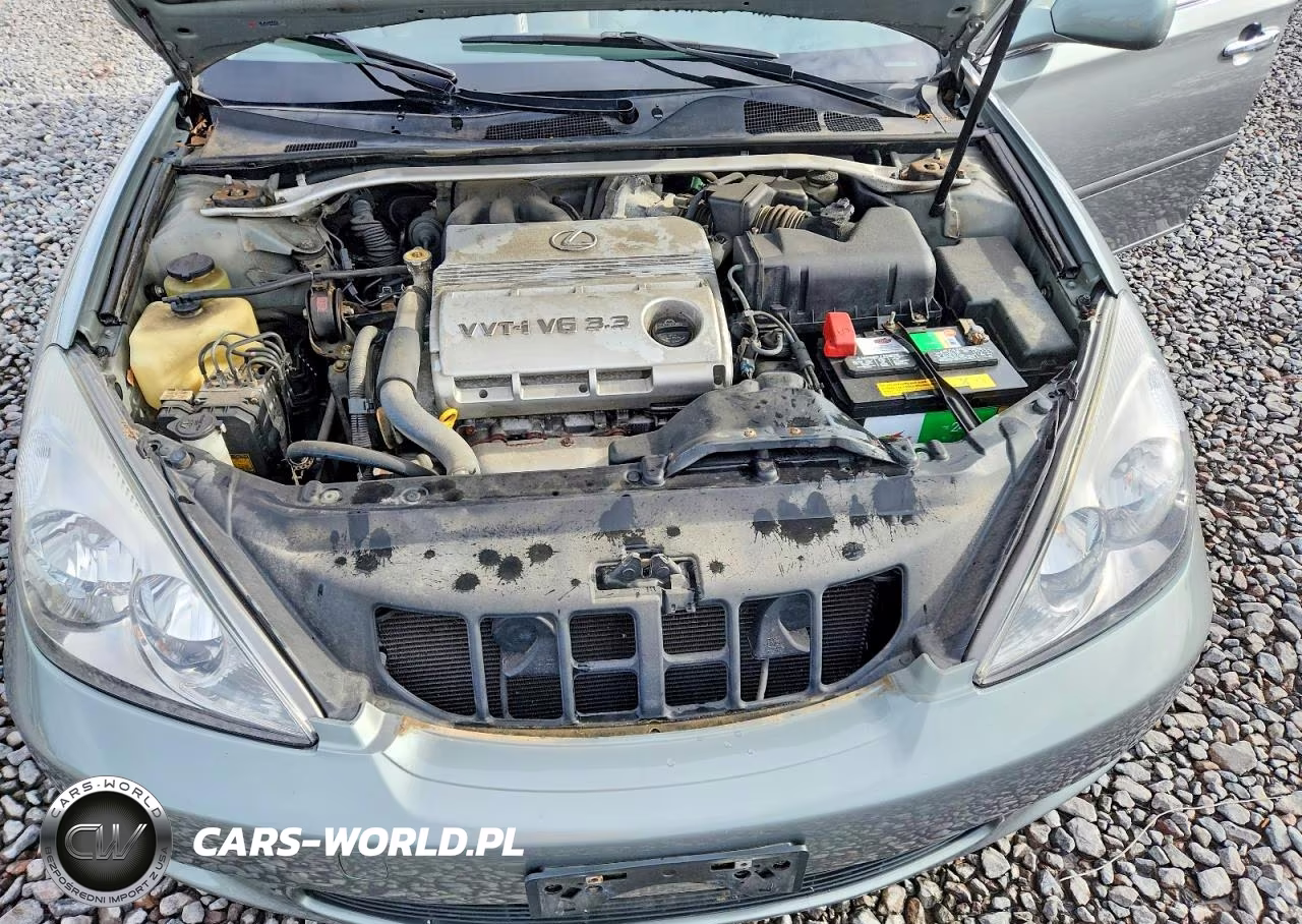 2004 Lexus Es 330 VIN:JTHBA30G945001613 - 11