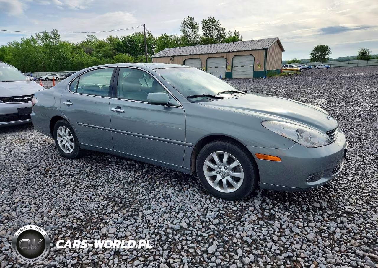 2004 Lexus Es 330 VIN:JTHBA30G945001613 - 4