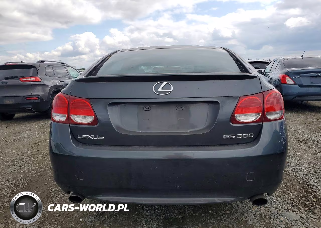 2006 Lexus Gs 300 VIN:JTHBH96S765025325 - 6