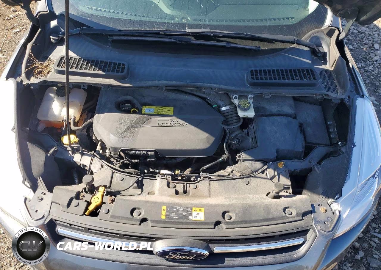 2014 Ford Escape Se VIN:1FMCU0GX9EUD26055 - 12