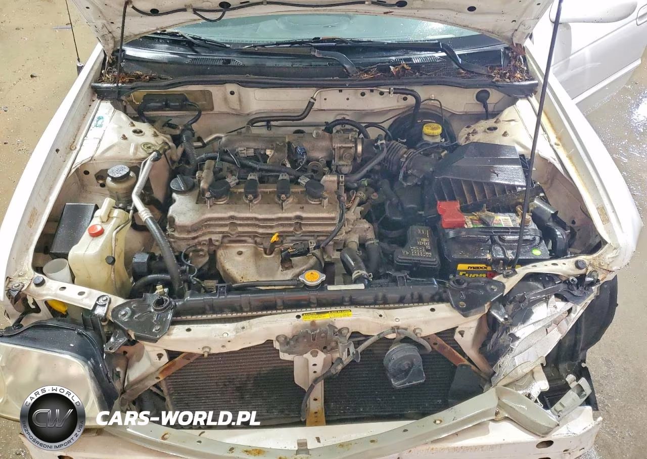 2006 Nissan Sentra 1.8 VIN:3N1CB51D06L619489 - 11