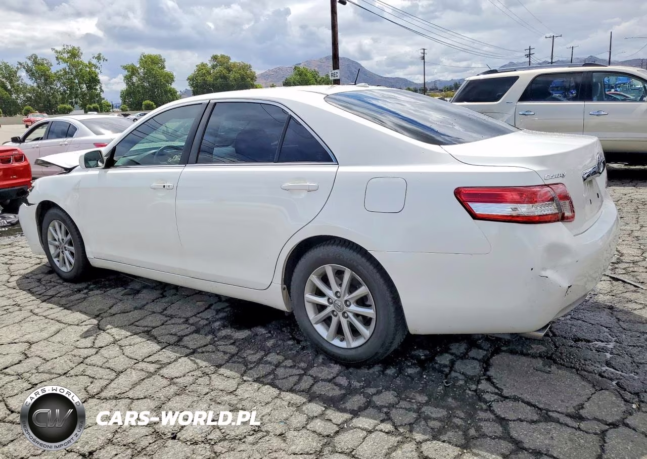2010 Toyota Camry VIN:JTNBK3EK0A3049113 - 2