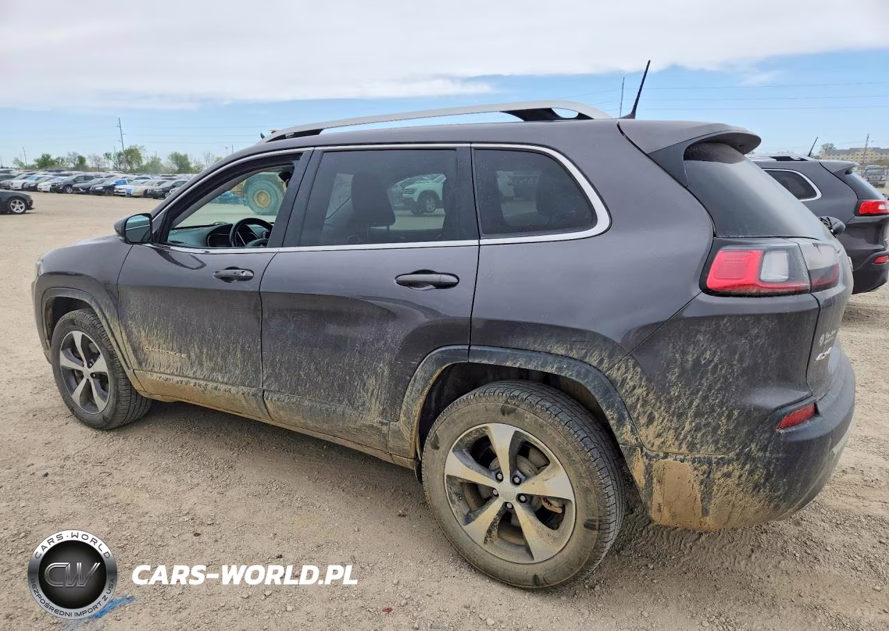2019 Jeep Cherokee Limited VIN:1C4PJMDXXKD335353 - 2