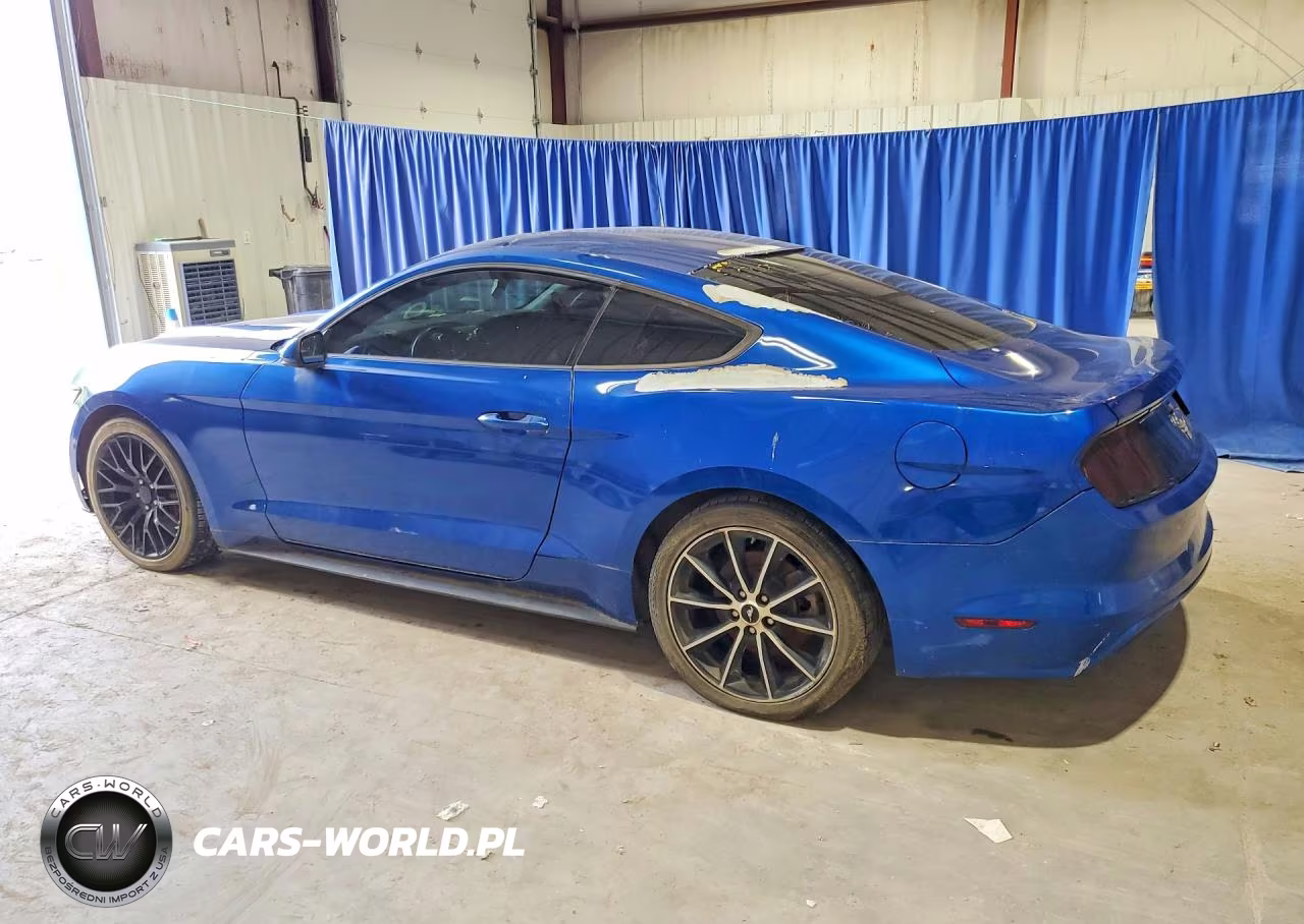 2017 Ford Mustang VIN:1FA6P8AM5H5290861 - 2