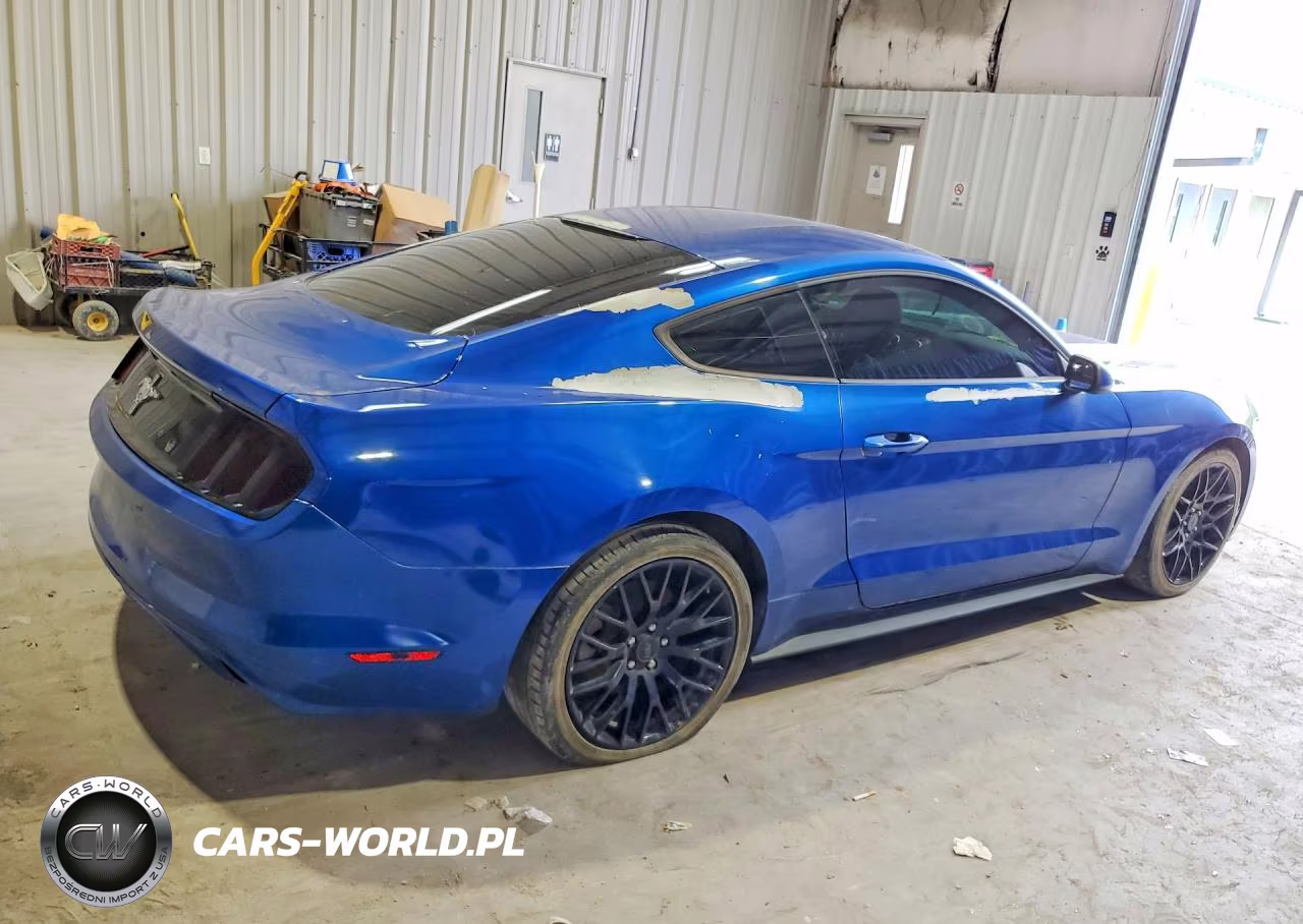 2017 Ford Mustang VIN:1FA6P8AM5H5290861 - 3