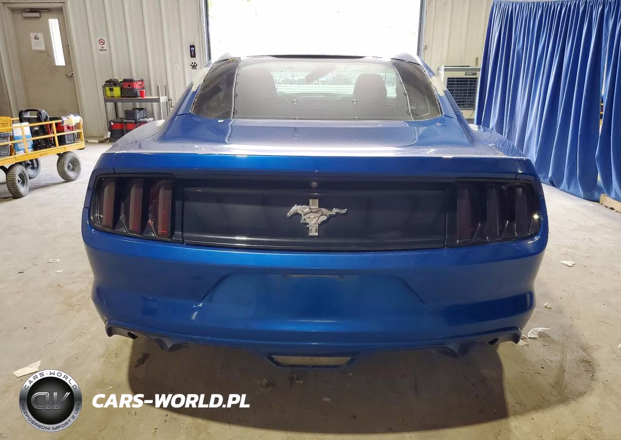 2017 Ford Mustang VIN:1FA6P8AM5H5290861 - 6