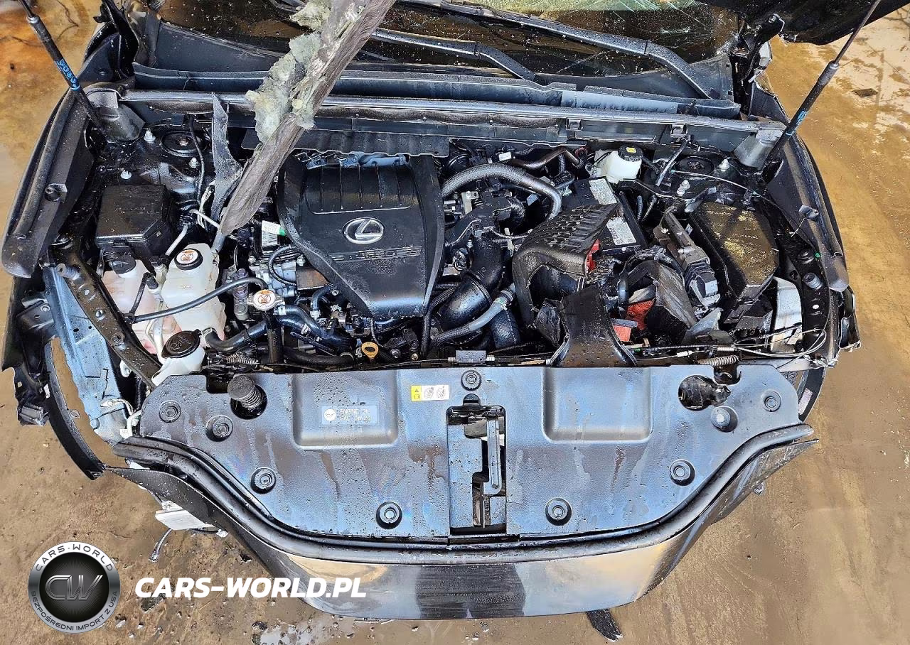2024 Lexus Nx 350 Base VIN:2T2AGCEZ1RC038456 - 12