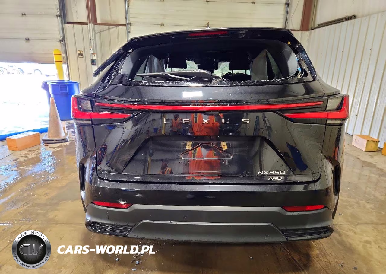 2024 Lexus Nx 350 Base VIN:2T2AGCEZ1RC038456 - 6