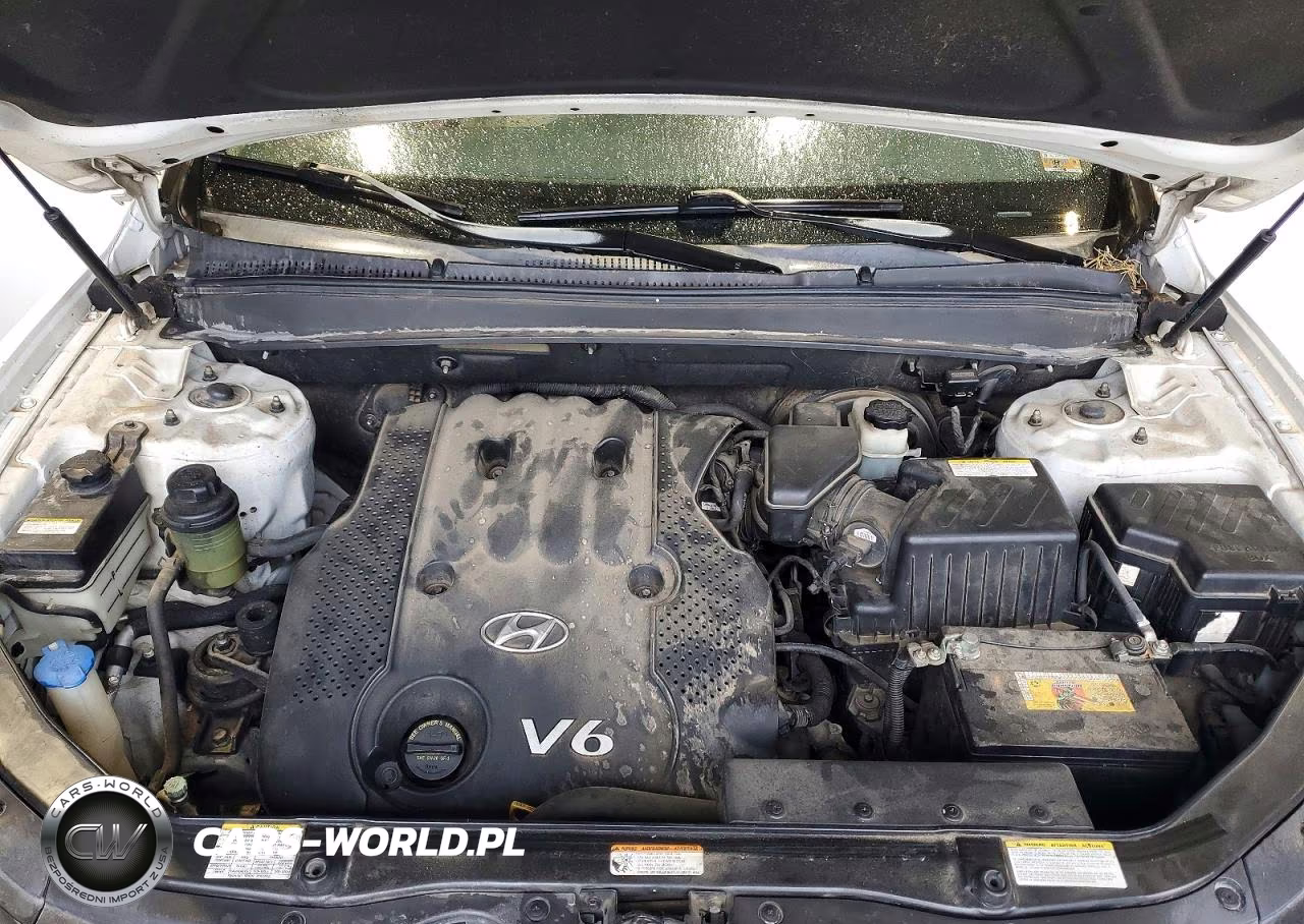 2007 Hyundai Santa Fe VIN:5NMSG13D07H086042 - 12