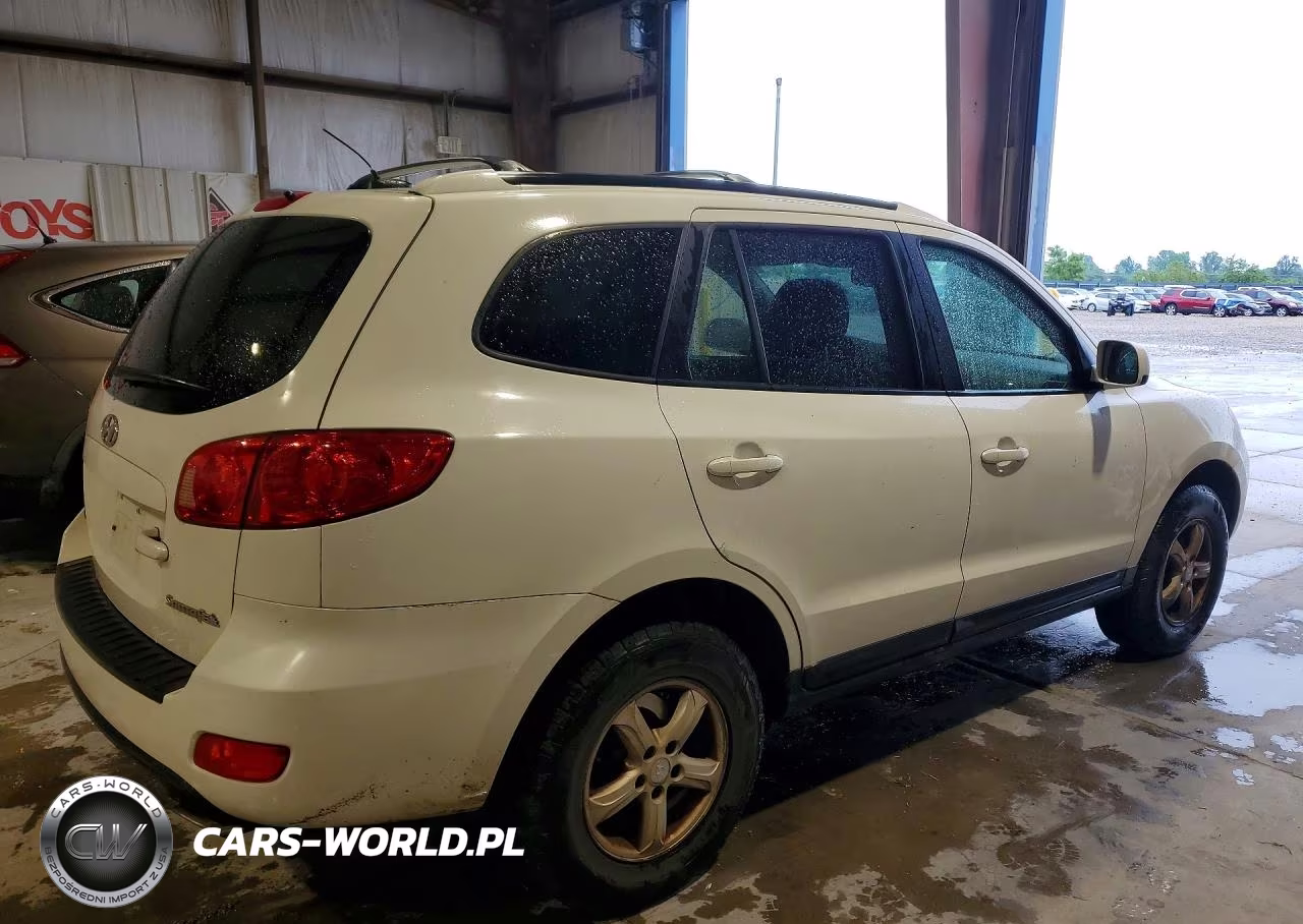 2007 Hyundai Santa Fe VIN:5NMSG13D07H086042 - 3