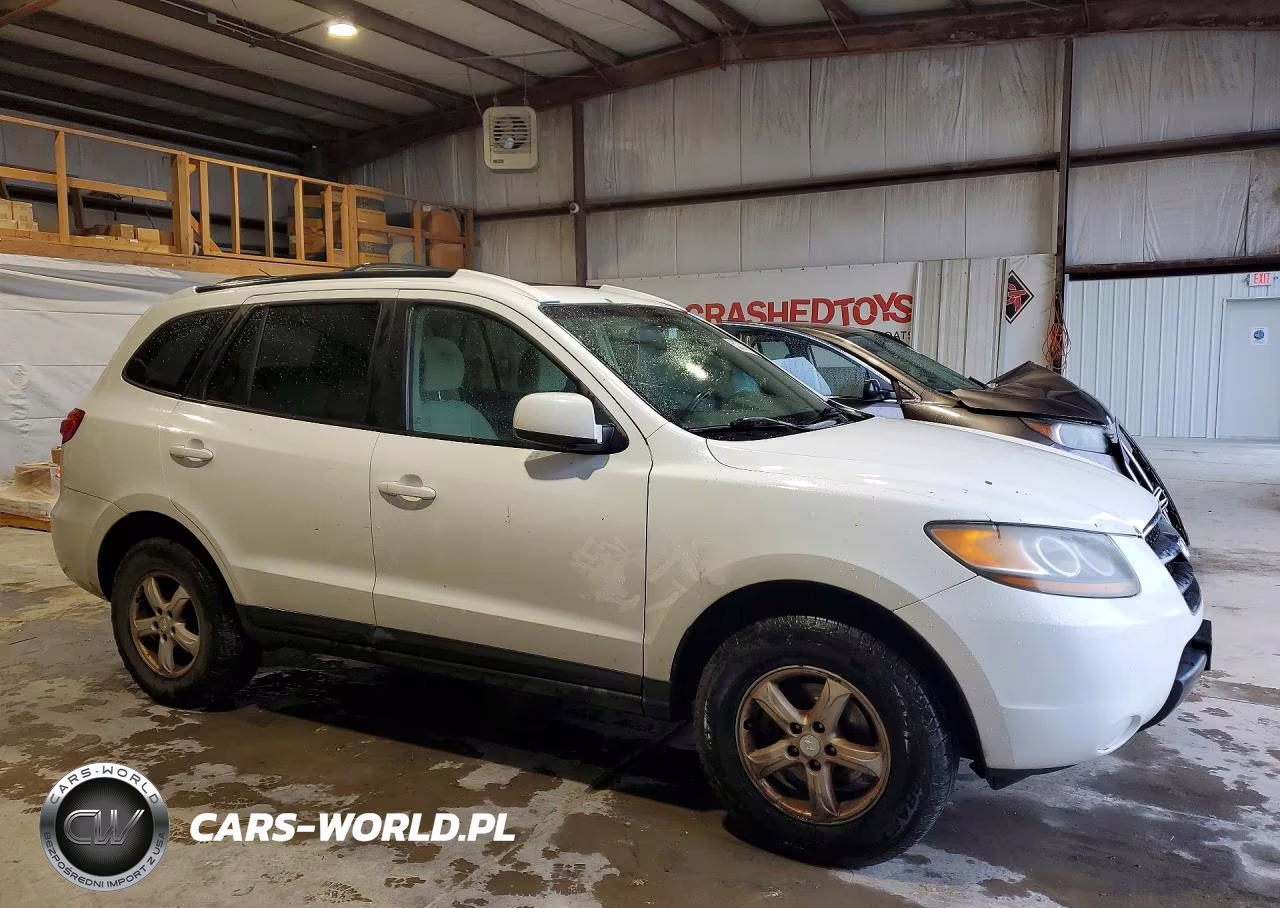 2007 Hyundai Santa Fe VIN:5NMSG13D07H086042 - 4