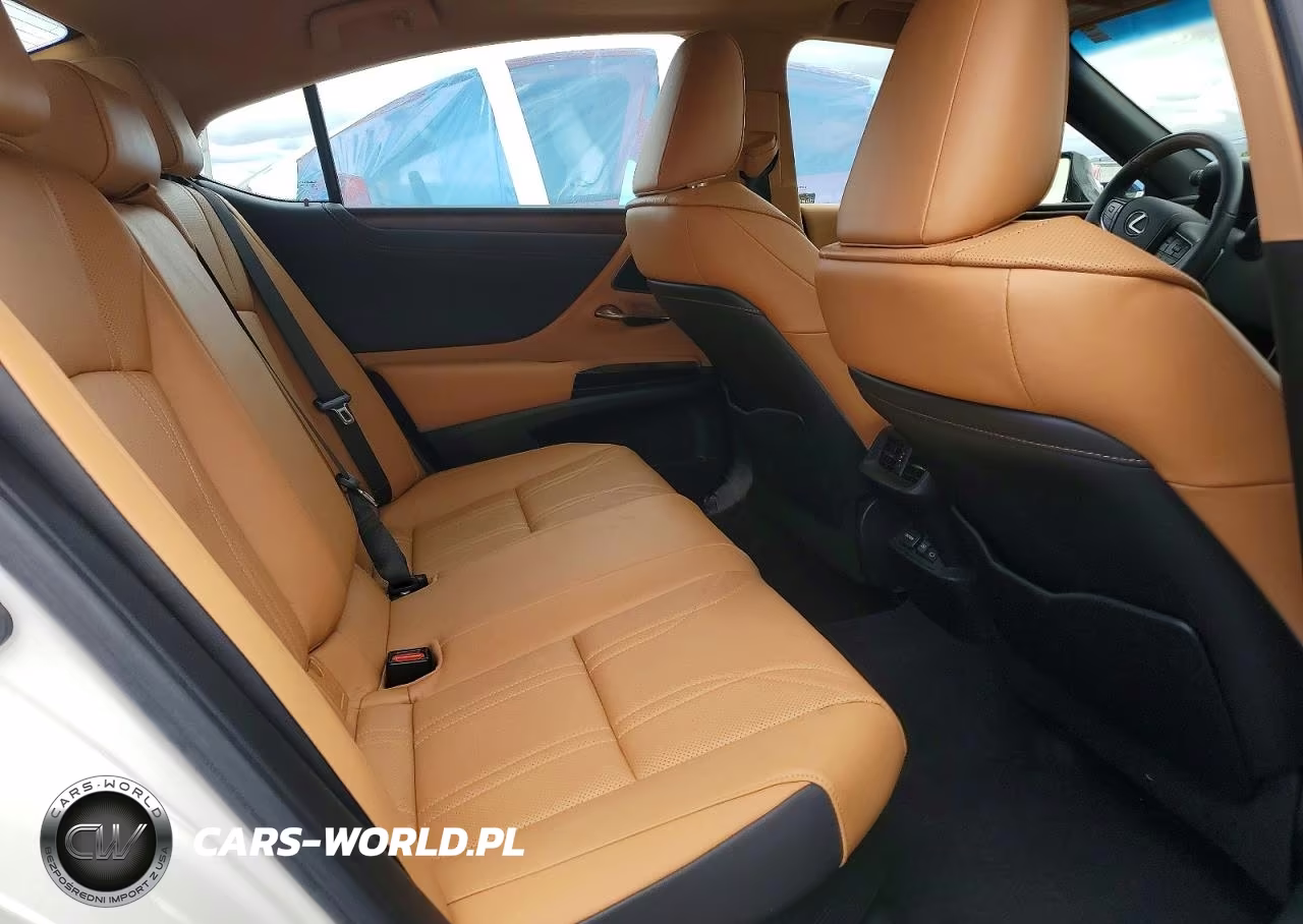 2025 Lexus Es 300H Luxury VIN:58AEA1C10SU058123 - 10