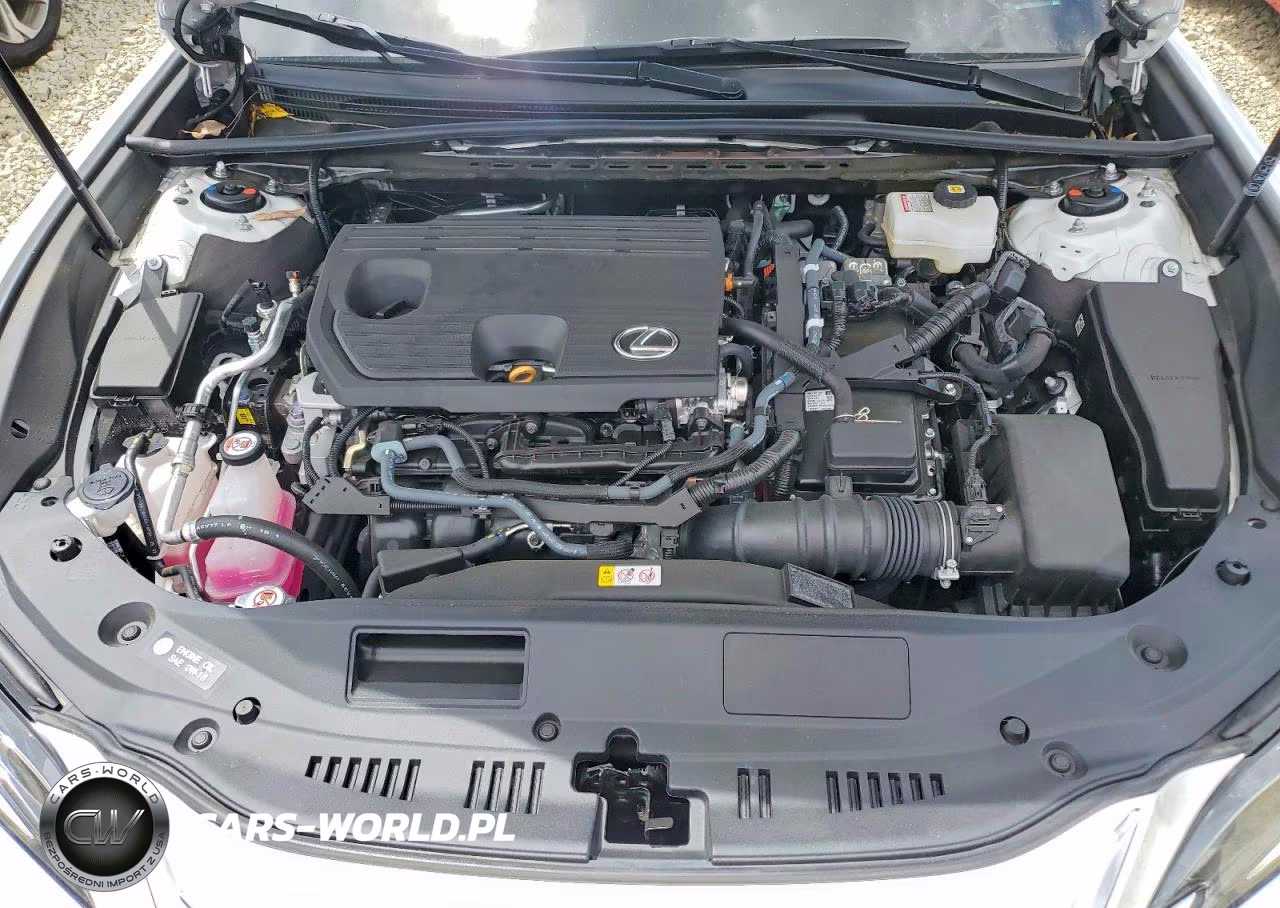 2025 Lexus Es 300H Luxury VIN:58AEA1C10SU058123 - 11