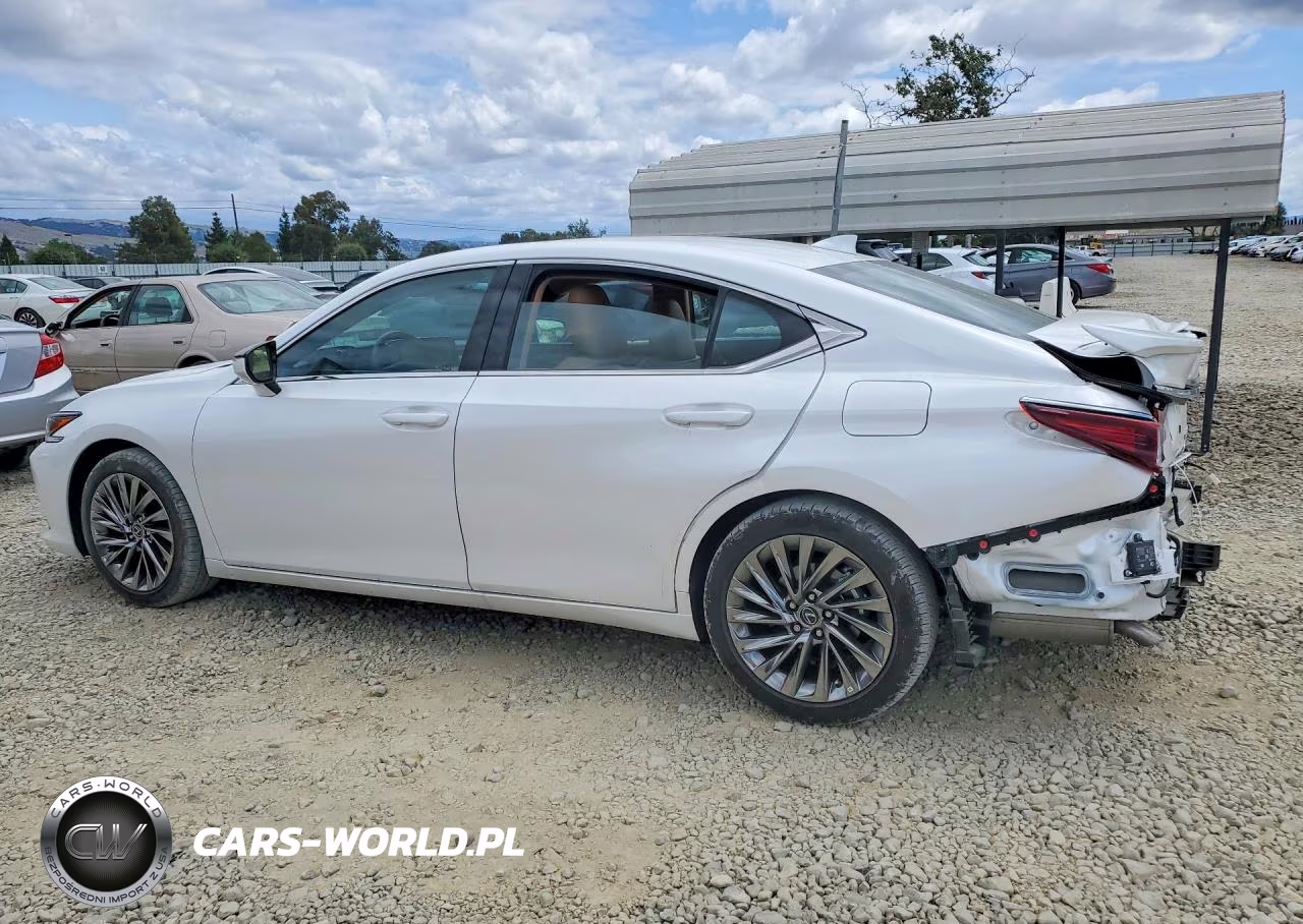 2025 Lexus Es 300H Luxury VIN:58AEA1C10SU058123 - 2