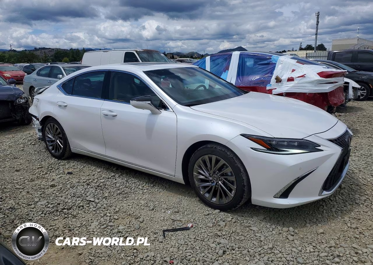 2025 Lexus Es 300H Luxury VIN:58AEA1C10SU058123 - 4