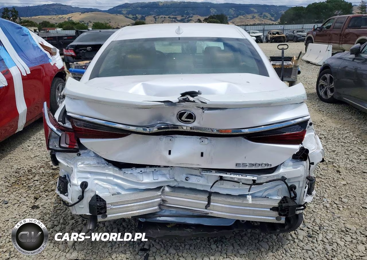 2025 Lexus Es 300H Luxury VIN:58AEA1C10SU058123 - 6