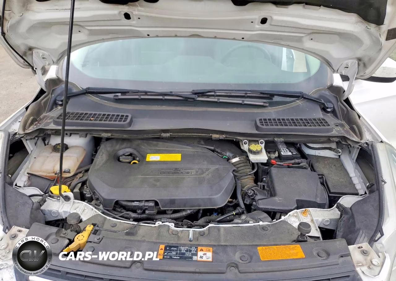 2015 Ford Escape Se VIN:1FMCU0GX2FUC41737 - 11