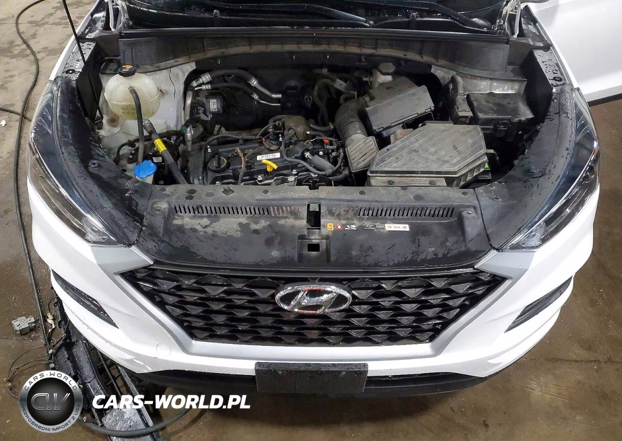 2019 Hyundai Tucson Value VIN:KM8J3CA44KU066217 - 12
