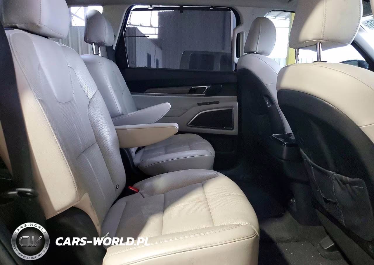 2021 Kia Telluride Sx VIN:5XYP5DHC2MG107590 - 10