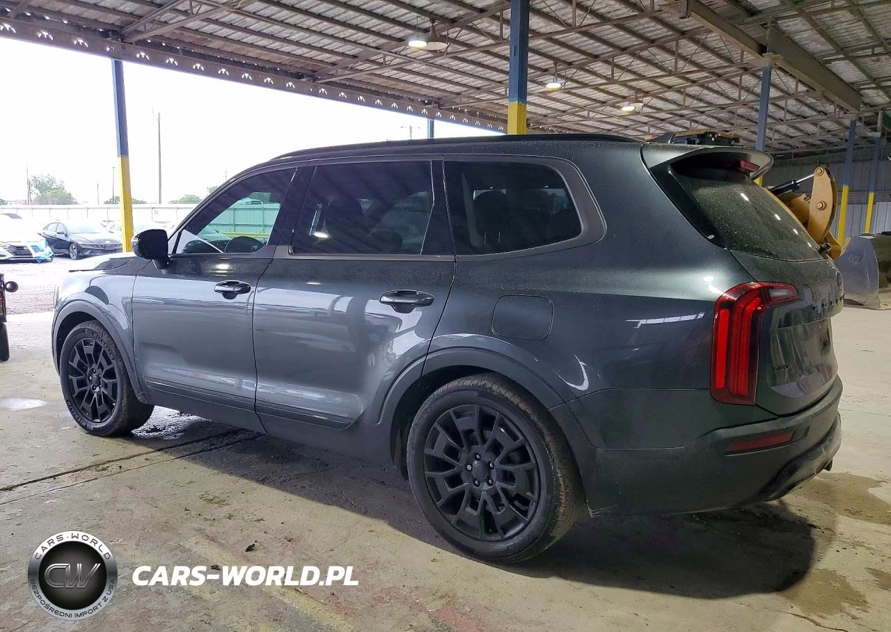2021 Kia Telluride Sx VIN:5XYP5DHC2MG107590 - 2