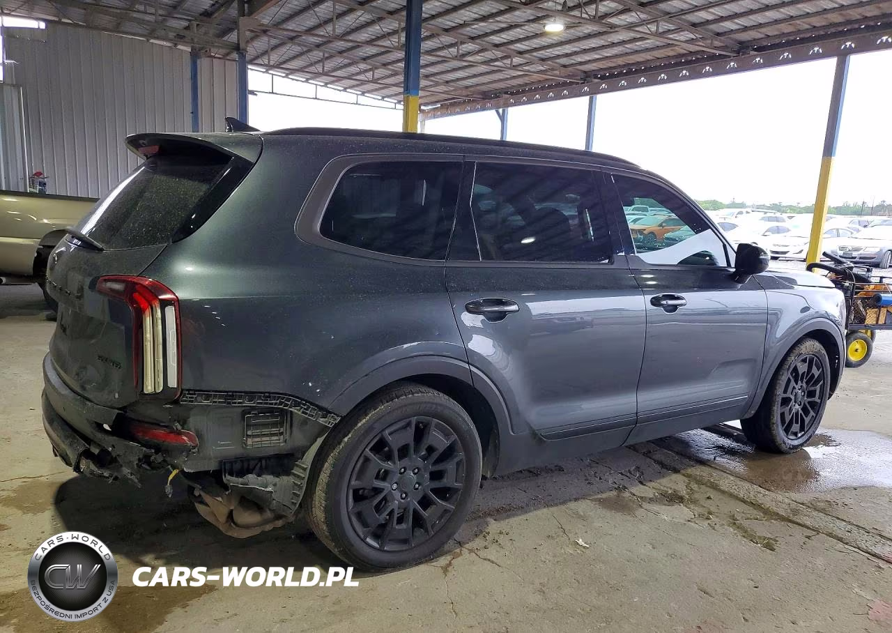 2021 Kia Telluride Sx VIN:5XYP5DHC2MG107590 - 3