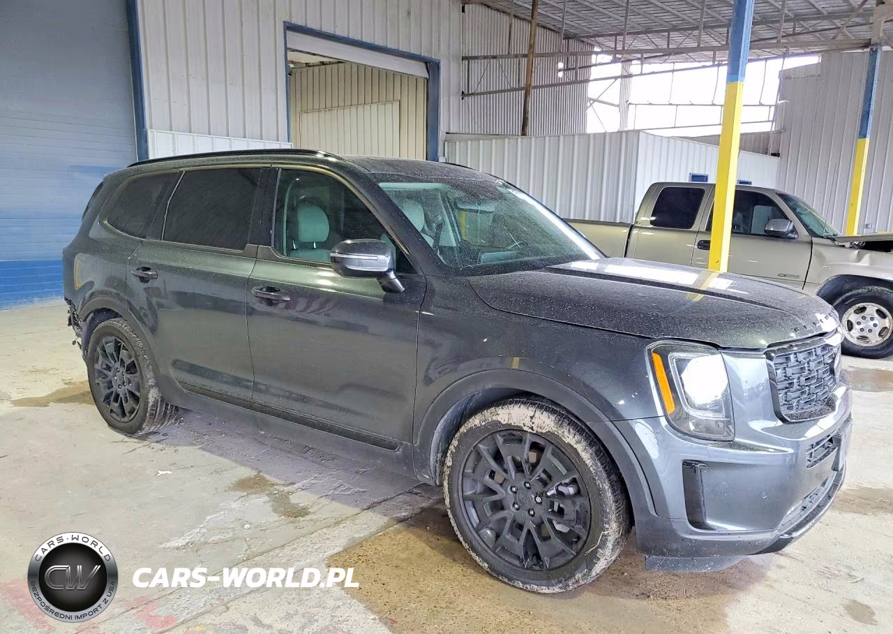 2021 Kia Telluride Sx VIN:5XYP5DHC2MG107590 - 4