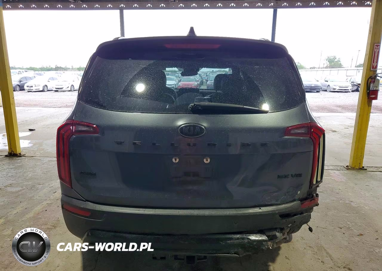 2021 Kia Telluride Sx VIN:5XYP5DHC2MG107590 - 6