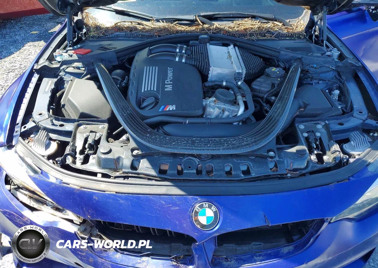 2018 BMW M3 VIN:WBS8M9C56J5K99607 - 11