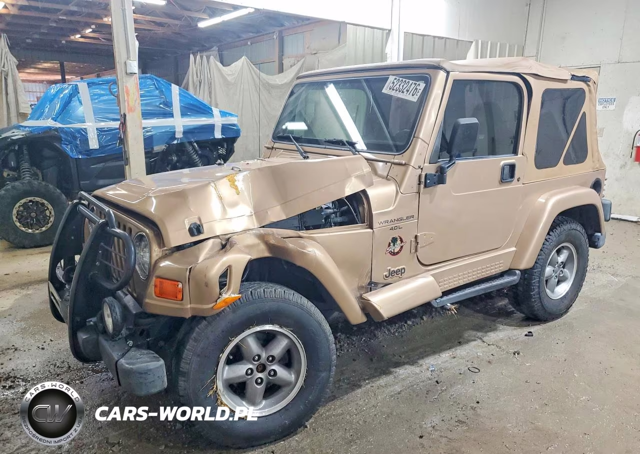1999 Jeep Wrangler - Tj Sahara