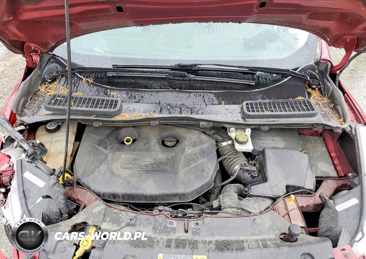 2013 Ford Escape Sel VIN:1FMCU0H96DUC47327 - 12