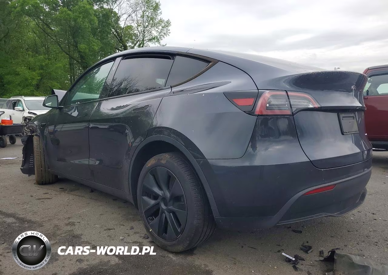 2024 Tesla Model Y VIN:7SAYGDEE5RA292480 - 2