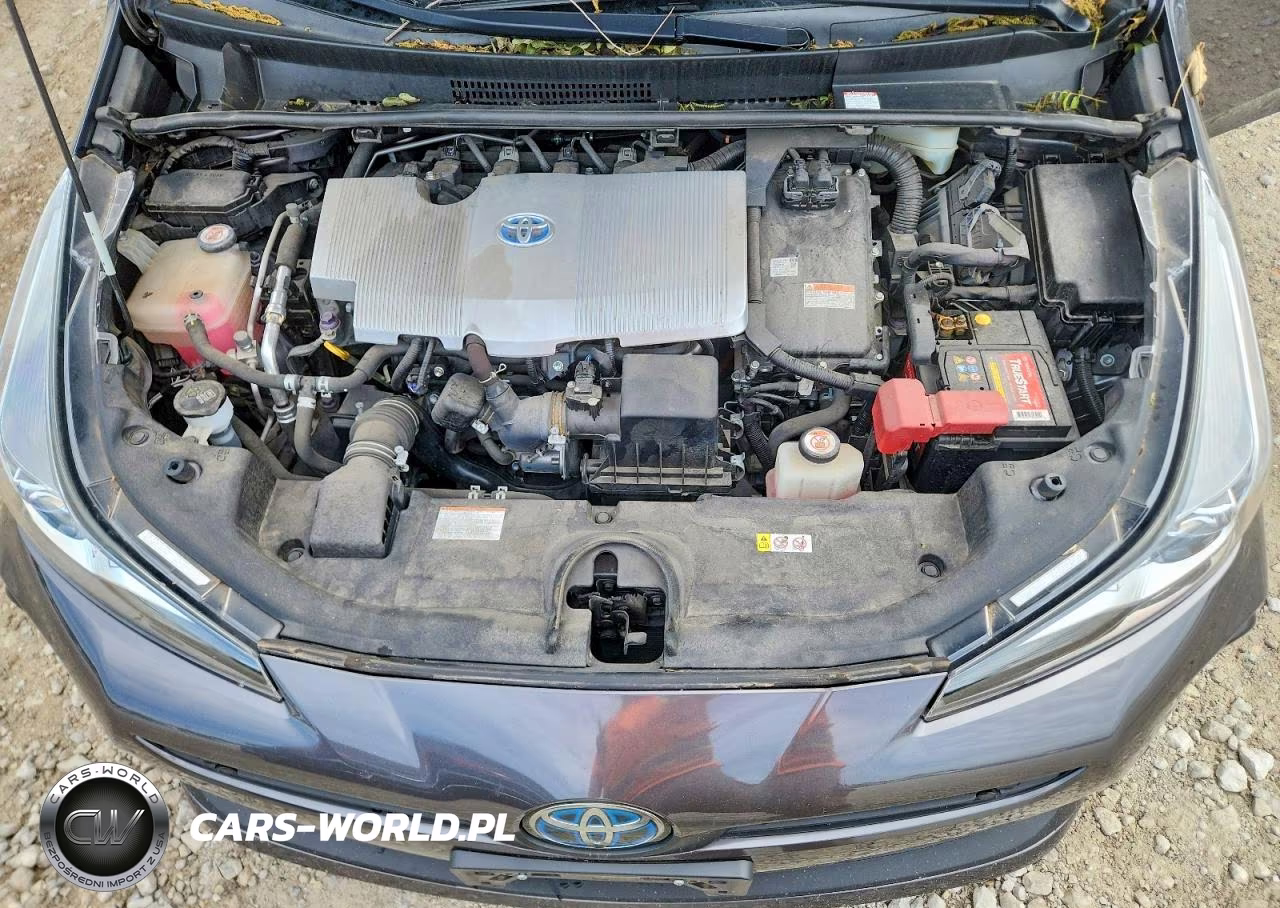 2019 Toyota Prius Le VIN:JTDKARFU7K3087305 - 12