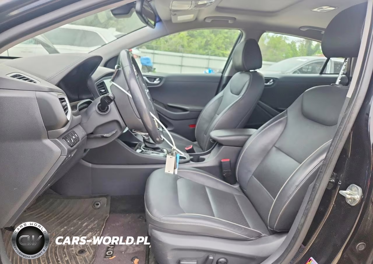 2019 Hyundai Ioniq Limited VIN:KMHC05LC5KU119086 - 10